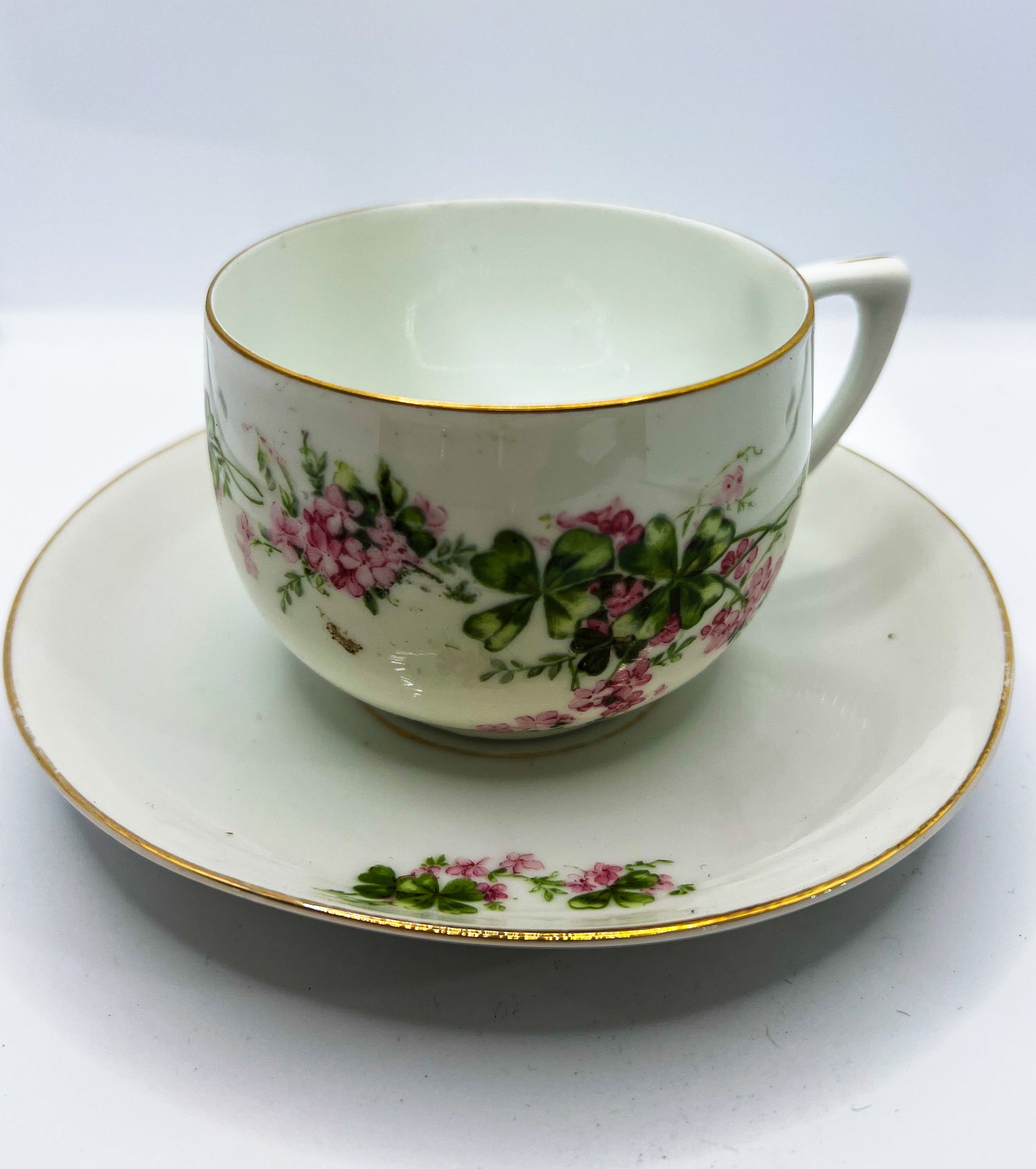Vintage Teacup Set (1 Plate + 1 Cup): Serial Number 2513