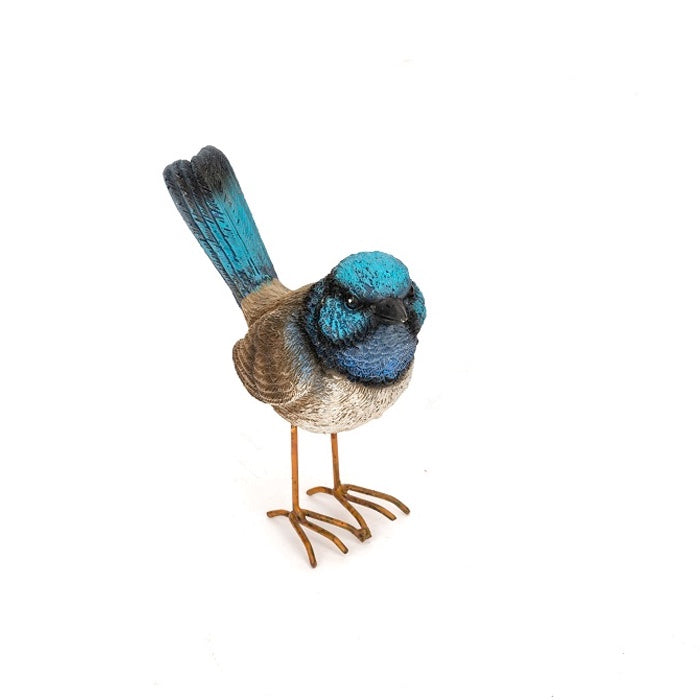 Fairy Wren Blue Large Feet