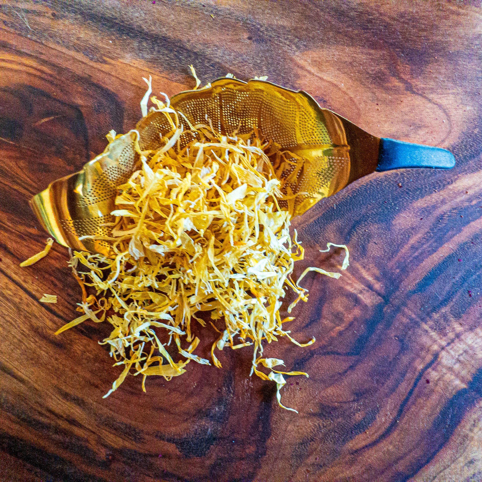 Calendula