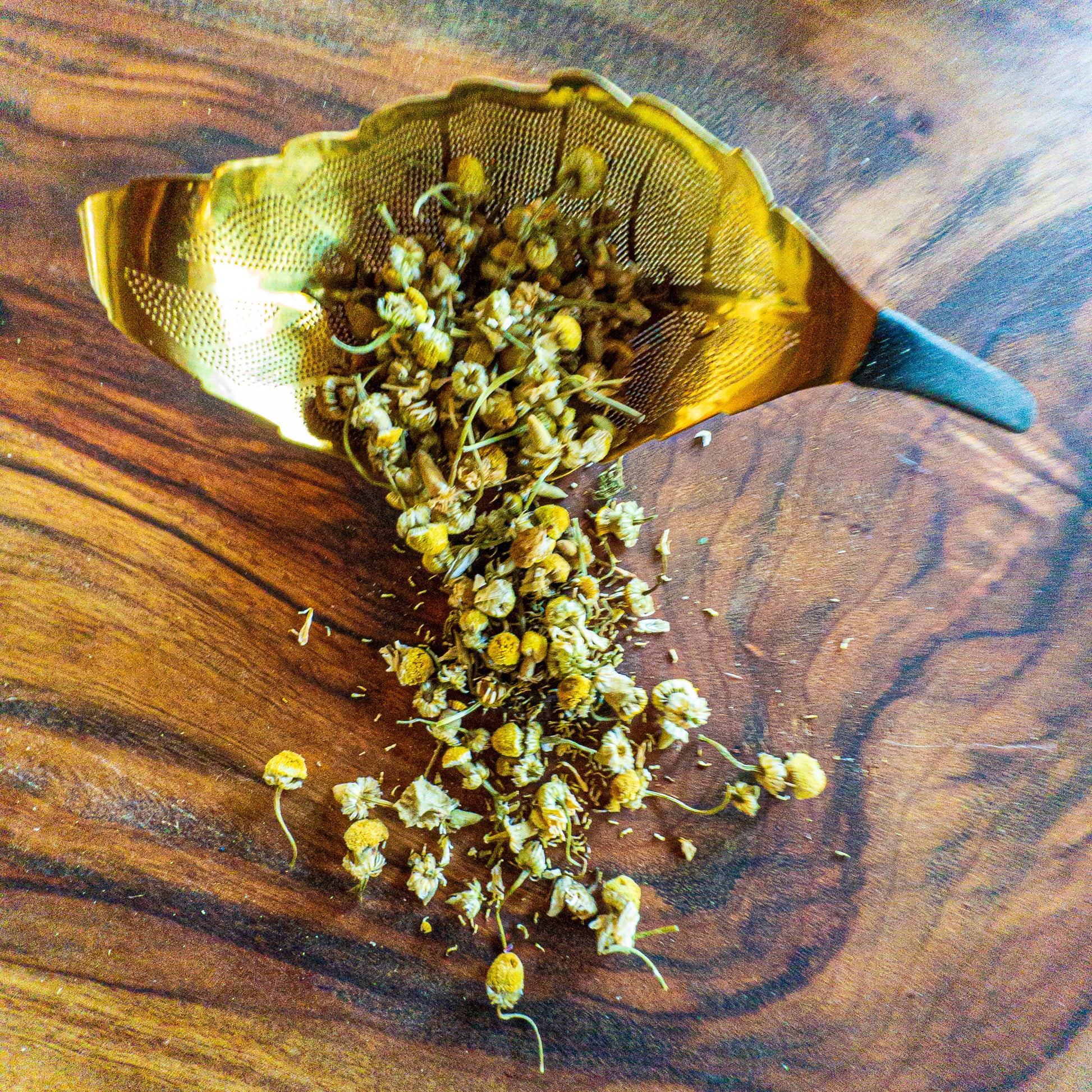 Chamomile