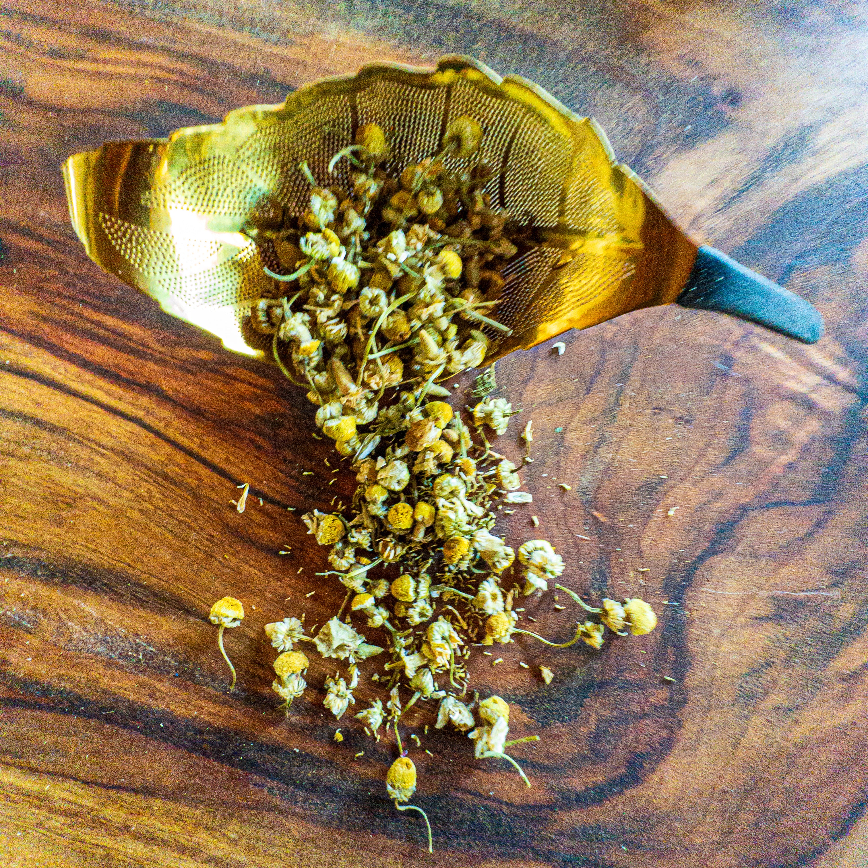 Chamomile