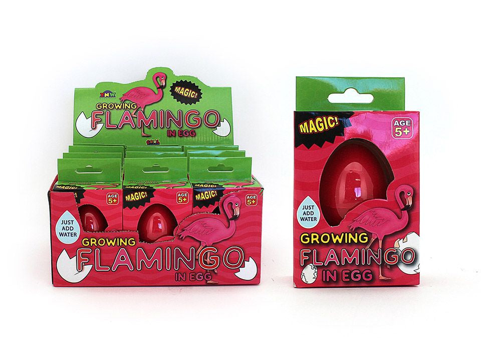 Growing Flamingo In Egg