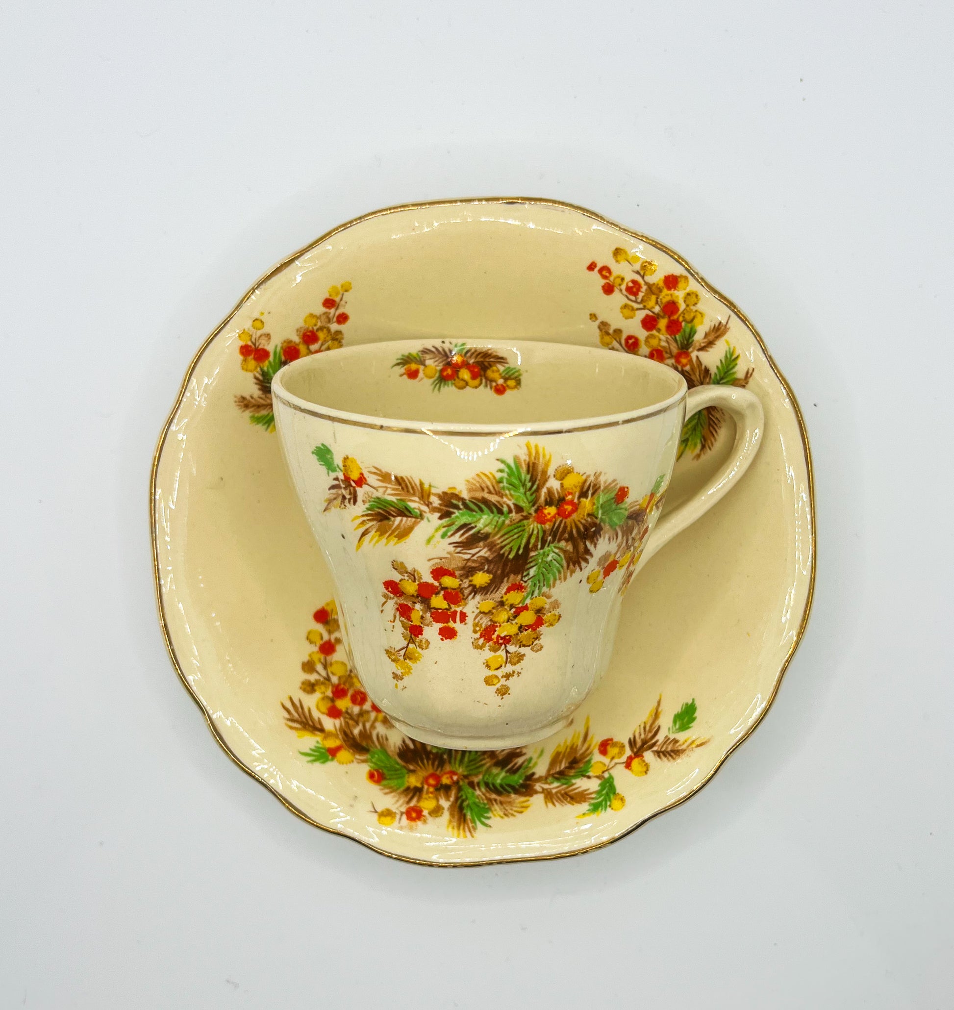 Vintage Teacup Set (1 Plate + 1 Cup): Serial Number 2541