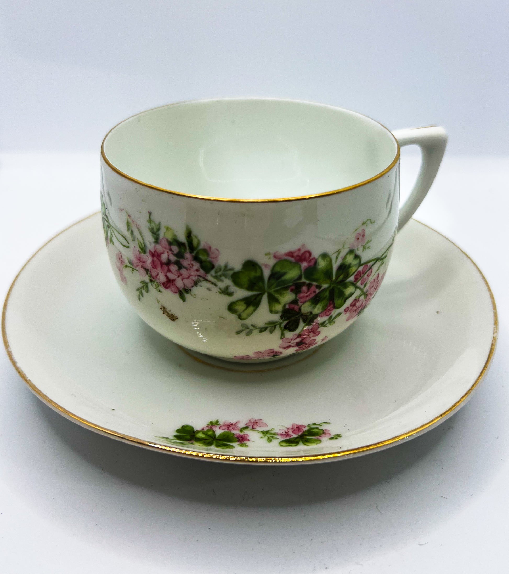 Vintage Teacup Set (1 Plate + 1 Cup): Serial Number 2513