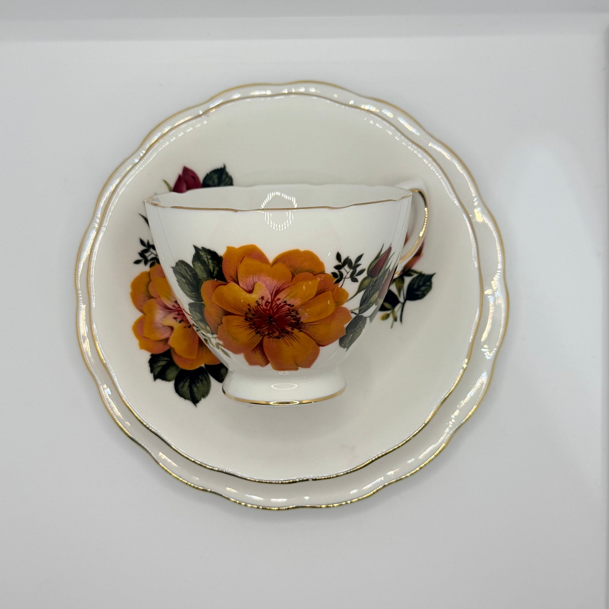 Vintage Teacup Trio (2 plate + 1 cup) Serial Number 25174