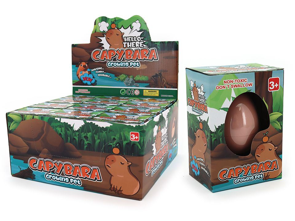 Growing Capybara In Egg