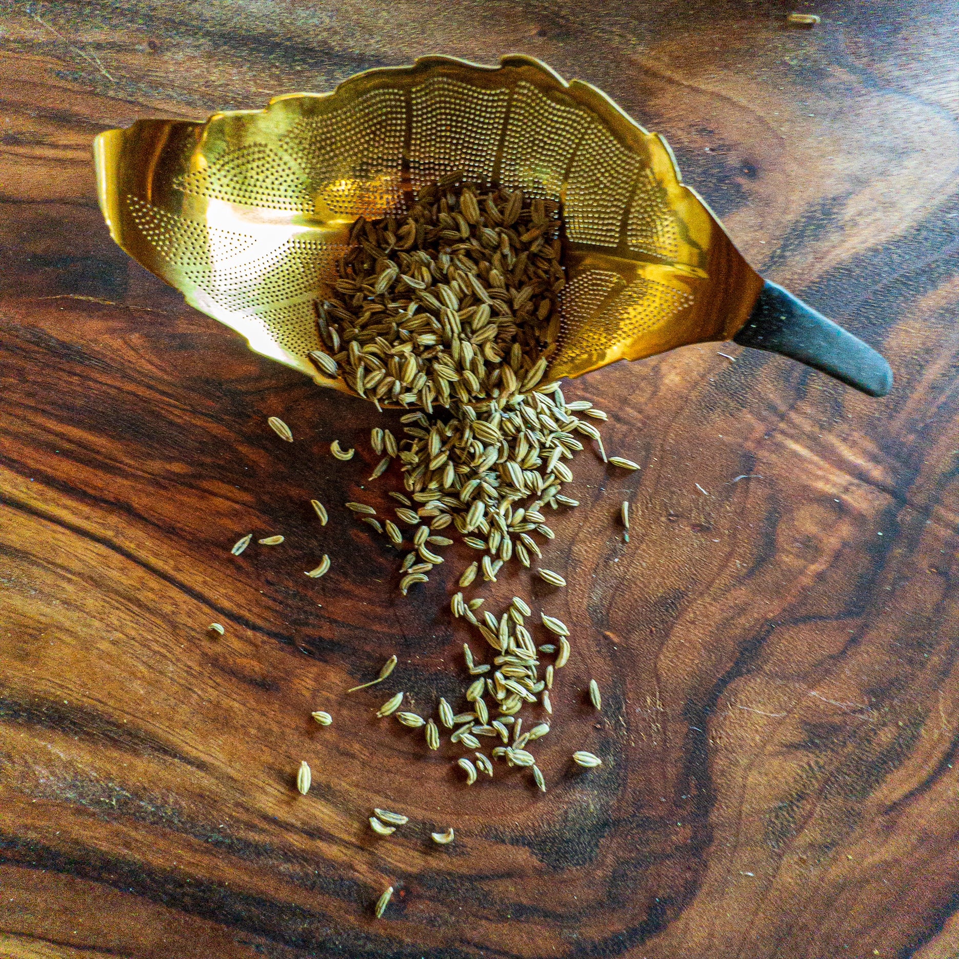 Caraway