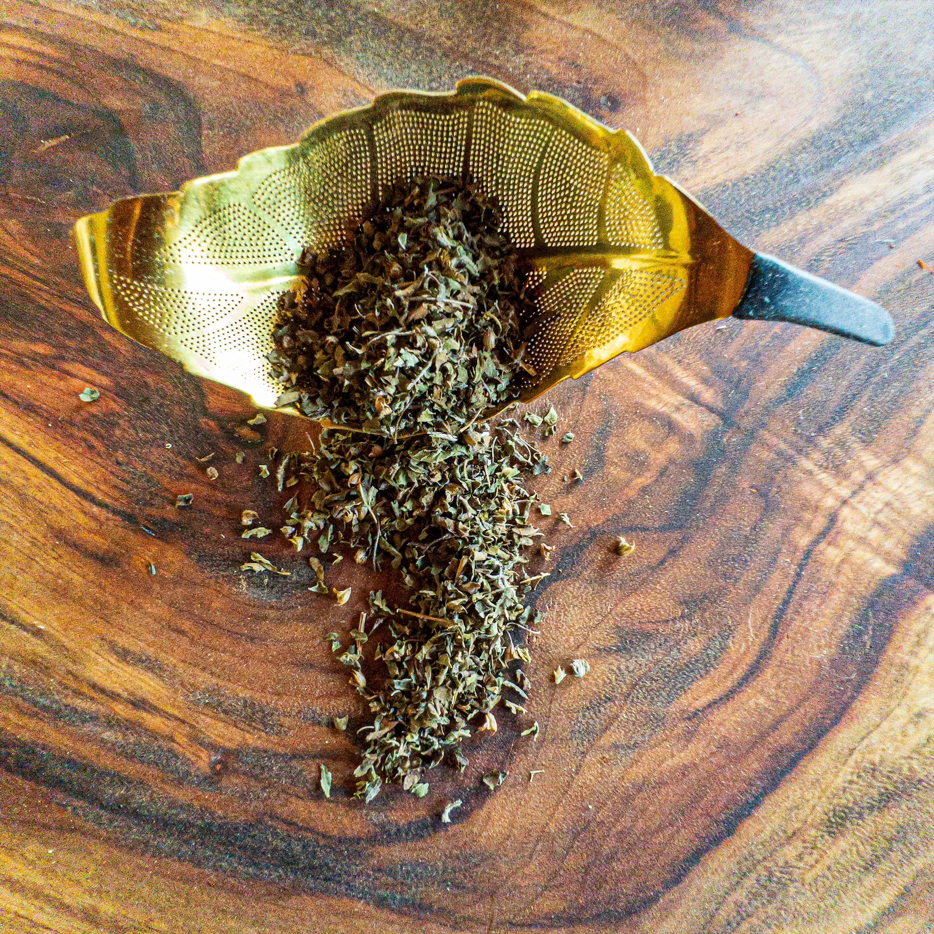 Holy Basi Tulsi